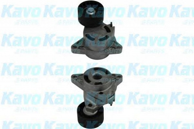 KAVO PARTS dtp6510 -  Натяжной ролик, поликлиновой  ремень